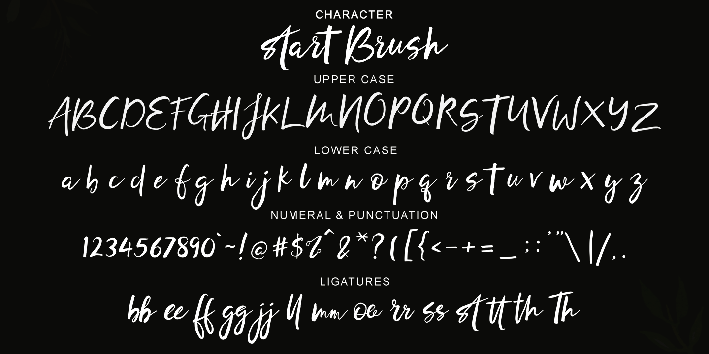 Beispiel einer Start Brush Regular-Schriftart